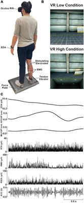 Visual feedback-dependent modulation of arousal, postural control, and muscle stretch reflexes assessed in real and virtual environments